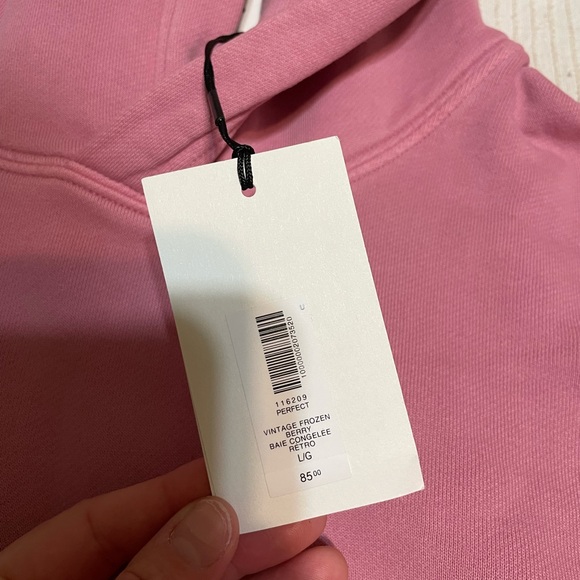 Aritzia Perfect Fit Hoodie - Picture 6 of 7